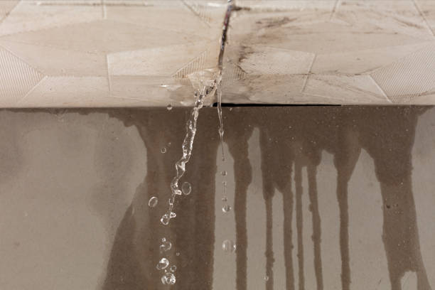 Professional Structural Drying technician working in Collins, OH
